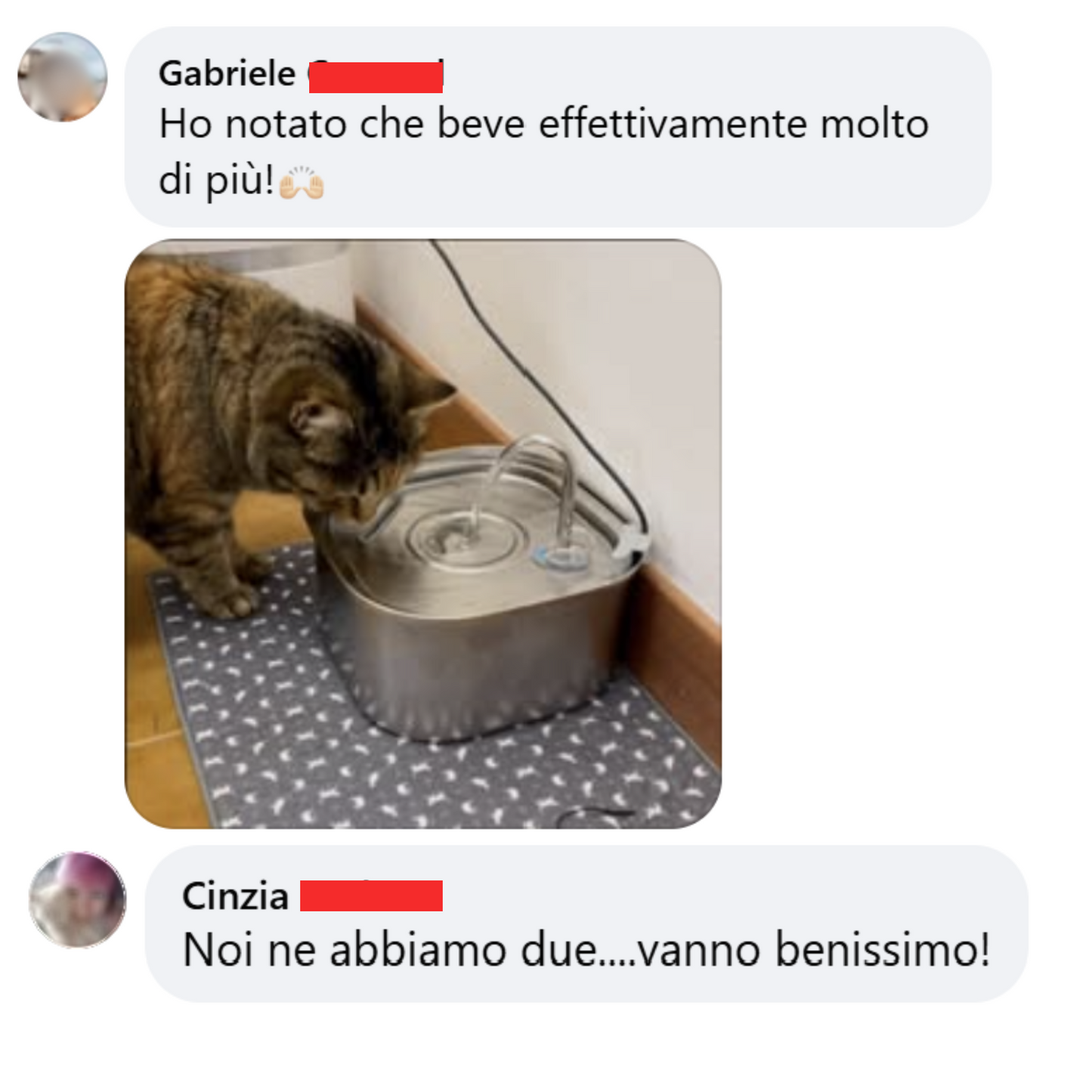 ARCACAT - Fonte di Benessere Per Il Tuo Gatto