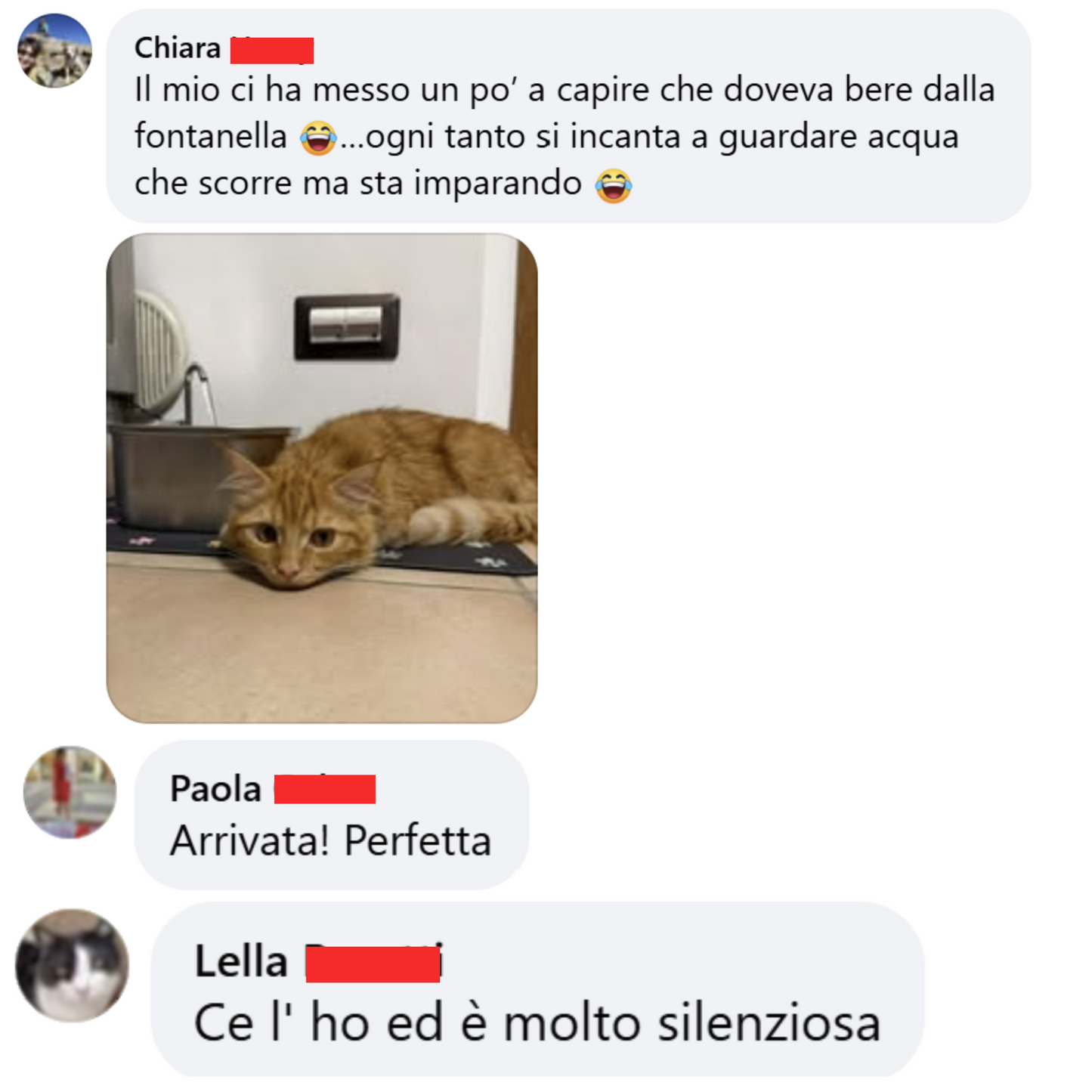 ARCACAT - Fonte di Benessere Per Il Tuo Gatto