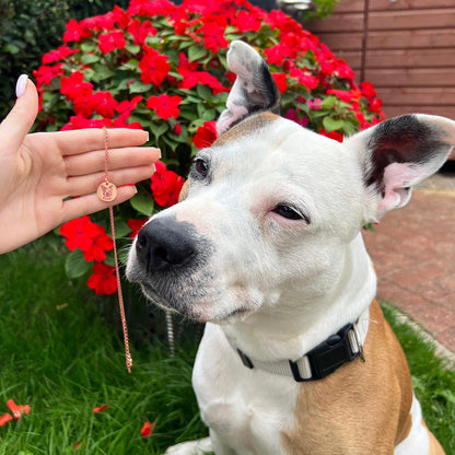 Collana Ritratto del tuo Animale