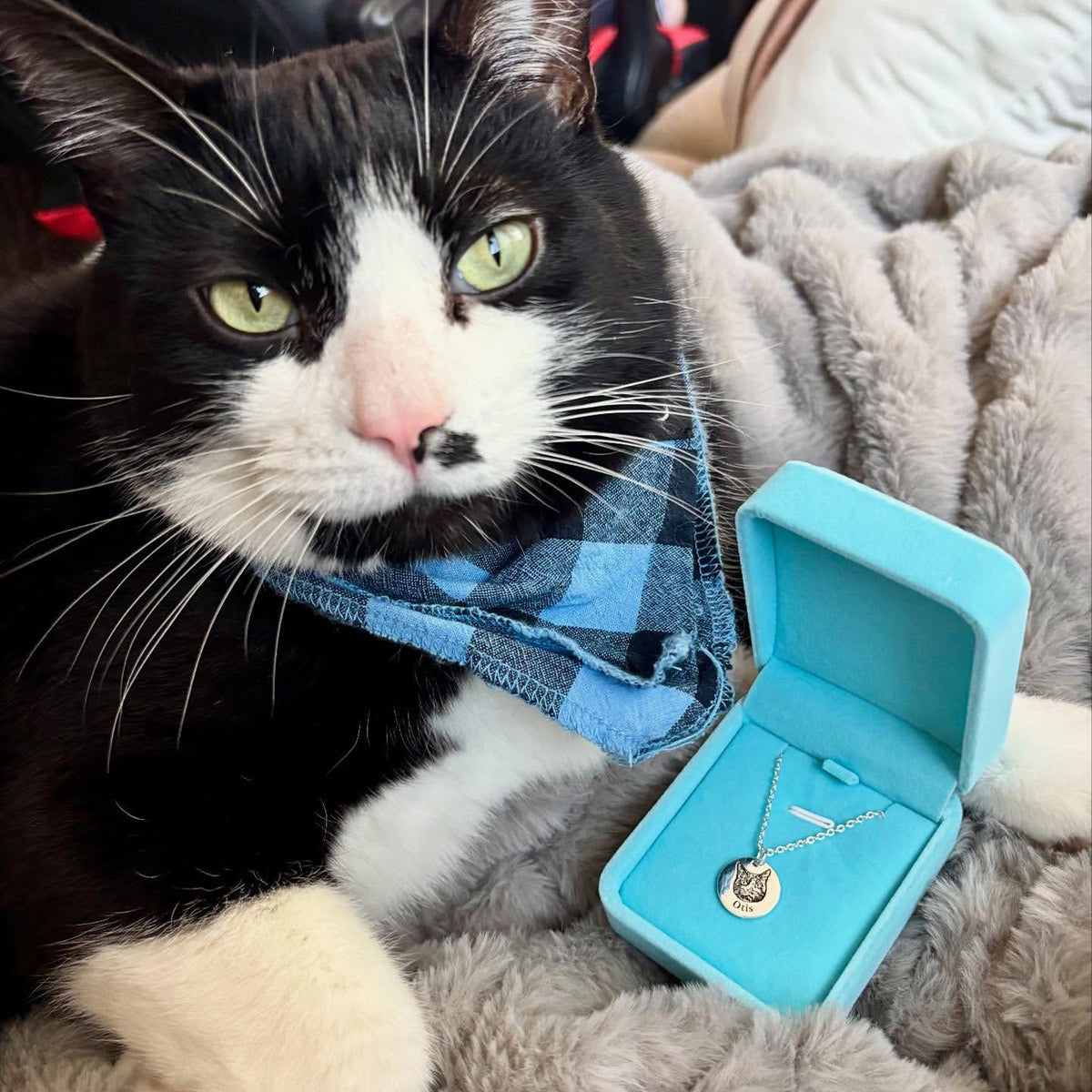 Collana Ritratto del tuo Animale