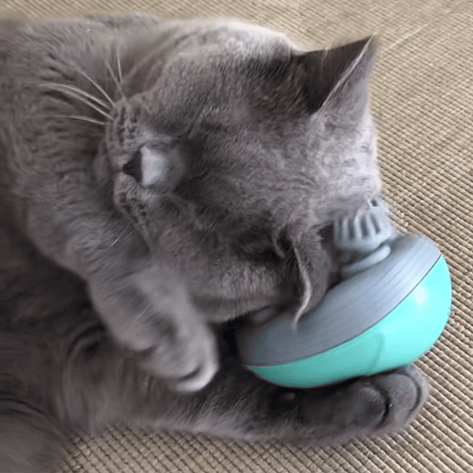 Massaggiatore Felino ArcaCat - Il Relax A Misura Di Gatto