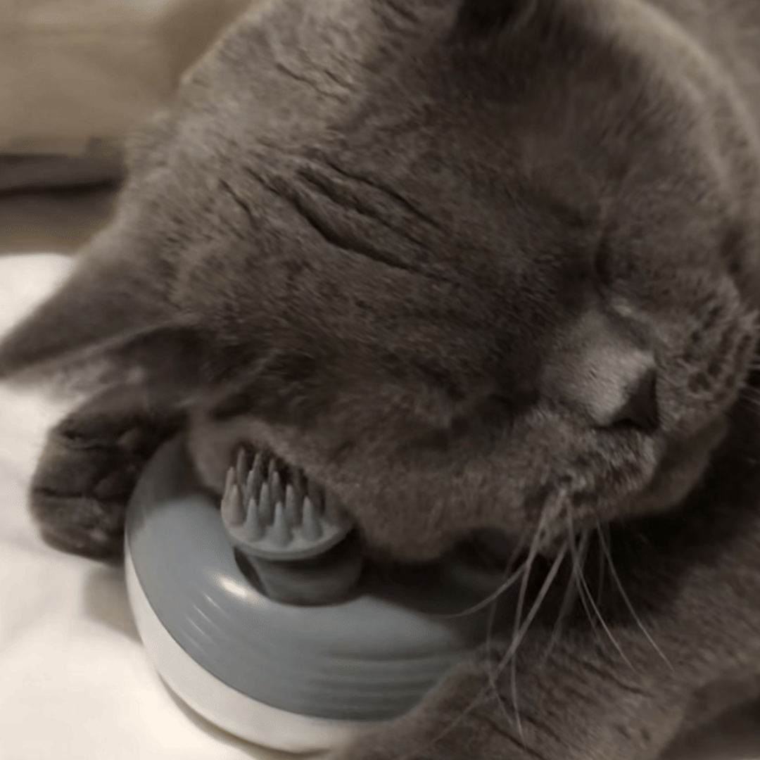 Massaggiatore Felino ArcaCat - Il Relax A Misura Di Gatto