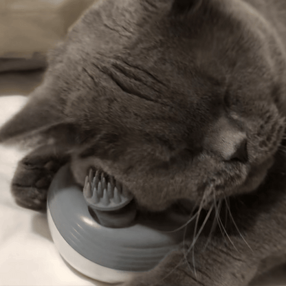 Massaggiatore Felino ArcaCat - Il Relax A Misura Di Gatto