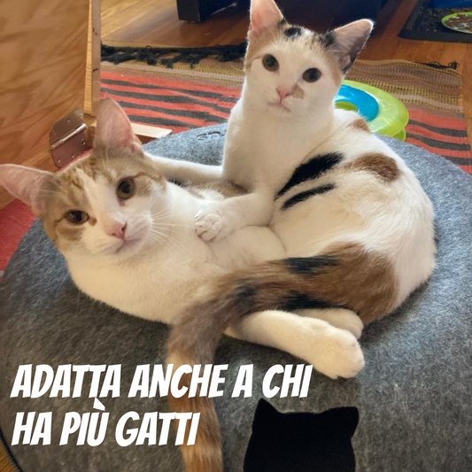 ArcaRing - Il nido preferito del tuo felino