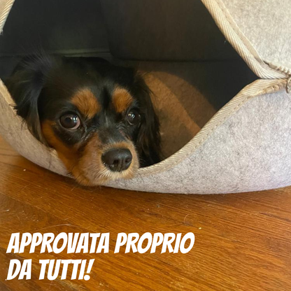 ArcaRing - Il nido preferito del tuo felino