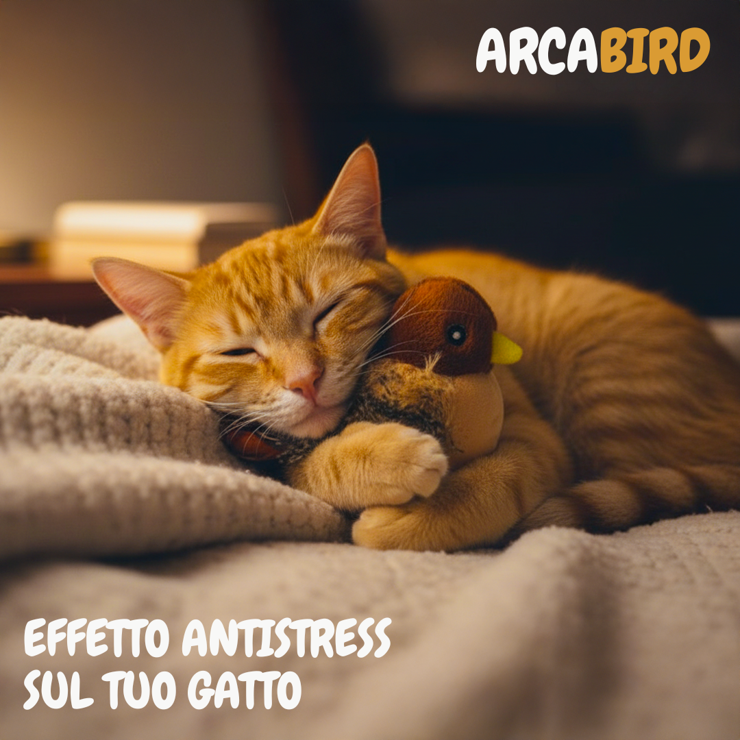 ArcaBird - E la caccia continua...