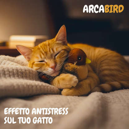 ArcaBird - E la caccia continua...
