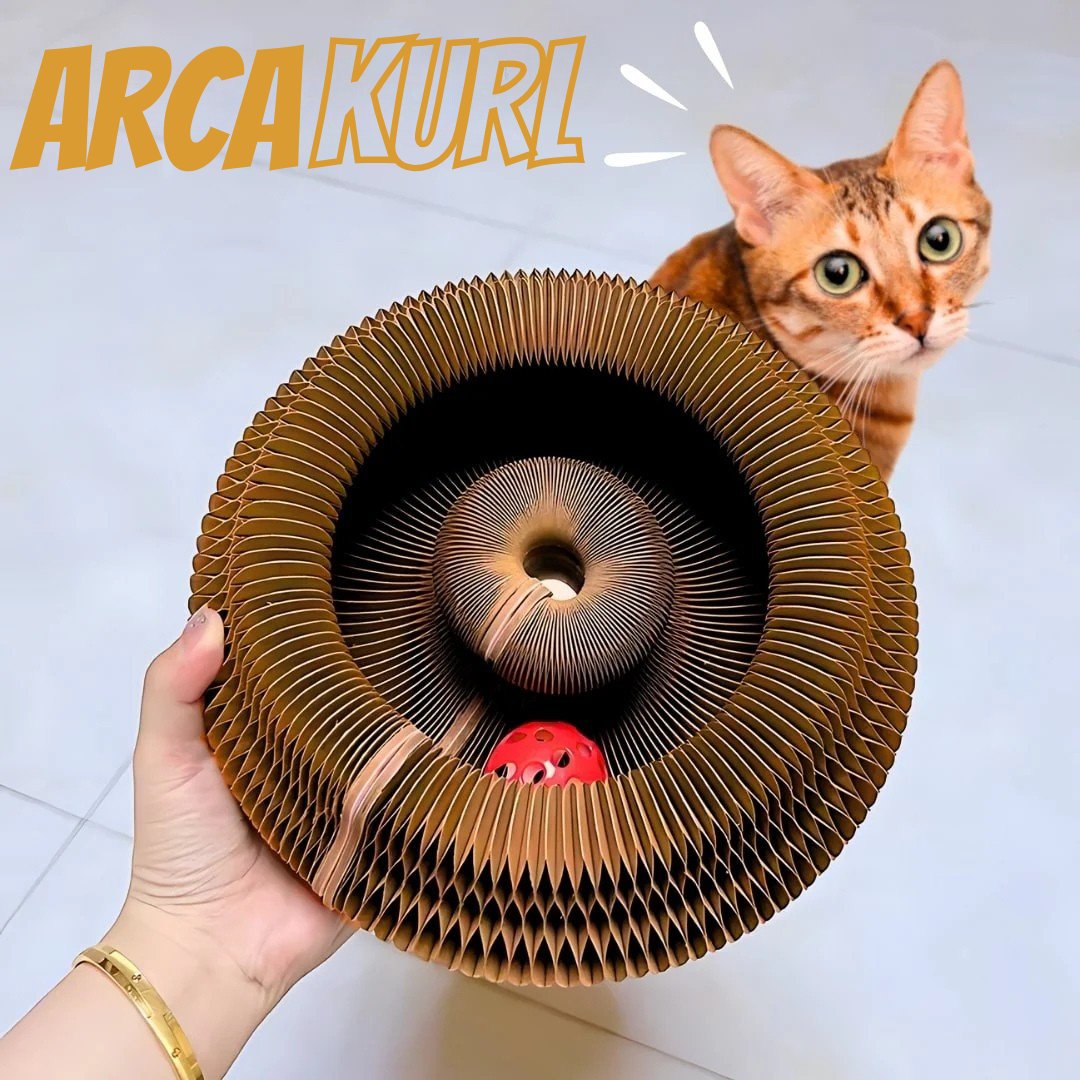 ARCAKURL -  Cattura, Graffia, Conquista... MEOW
