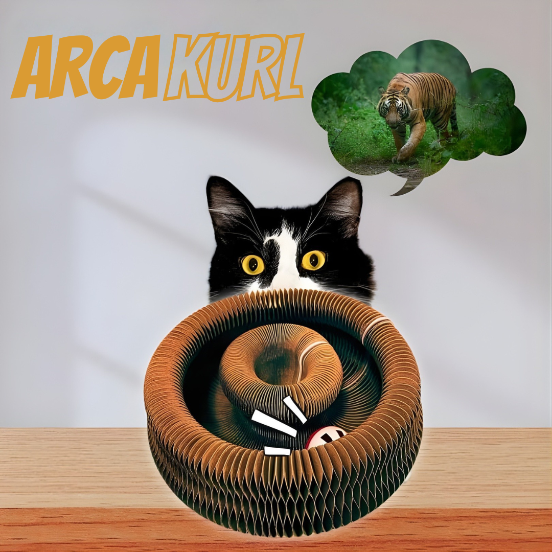 ARCAKURL -  Cattura, Graffia, Conquista... MEOW