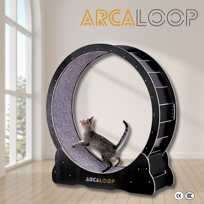 ArcaLoop - La Ruota della Felicità