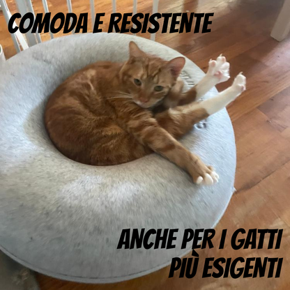 ArcaRing - Il nido preferito del tuo felino