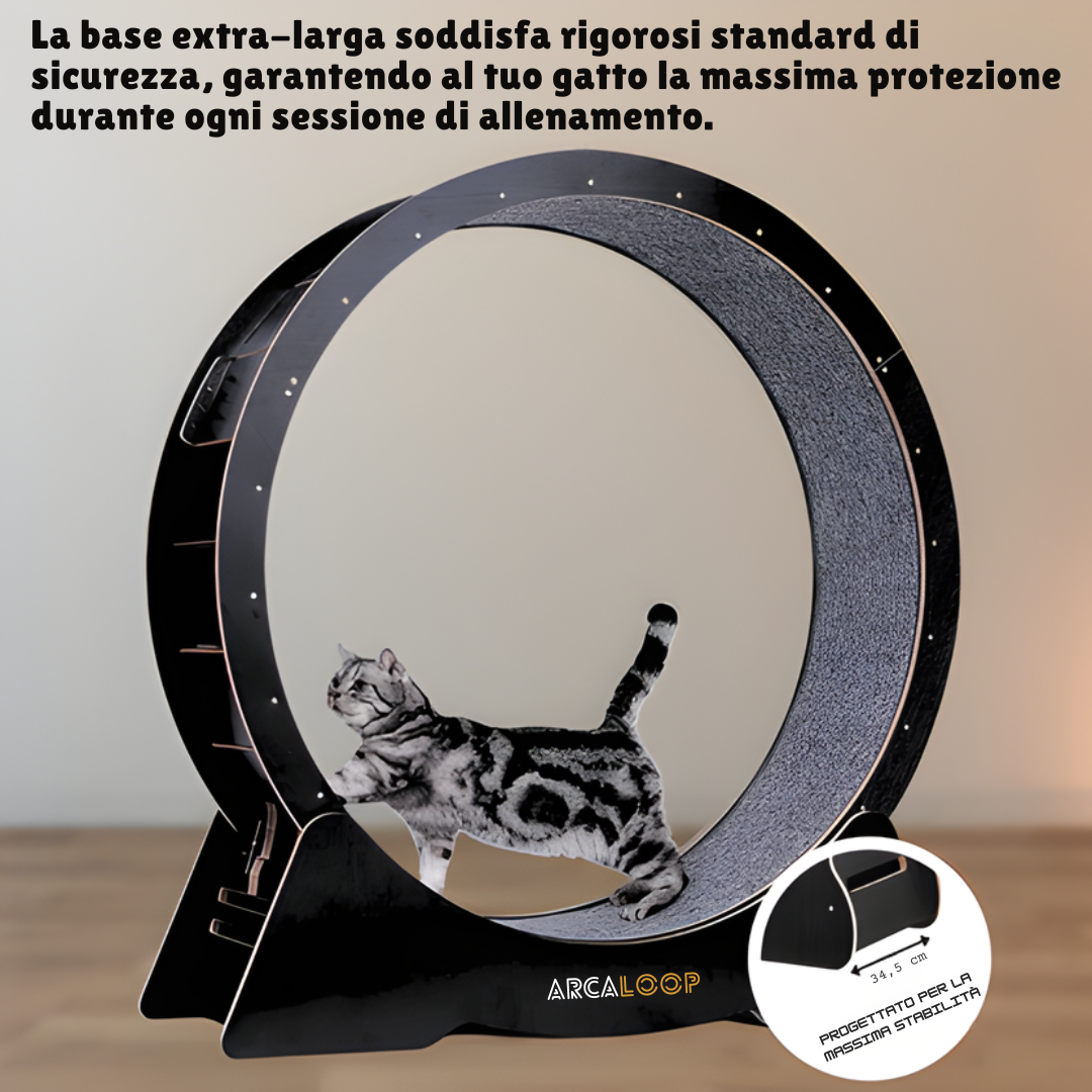 ArcaLoop - La Ruota della Felicità