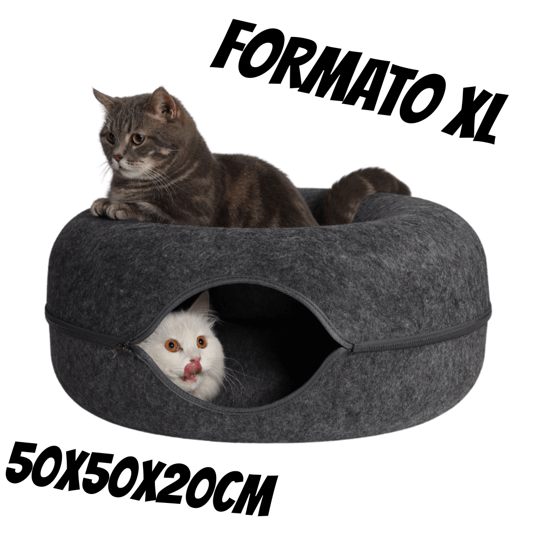 ArcaRing - Il nido preferito del tuo felino