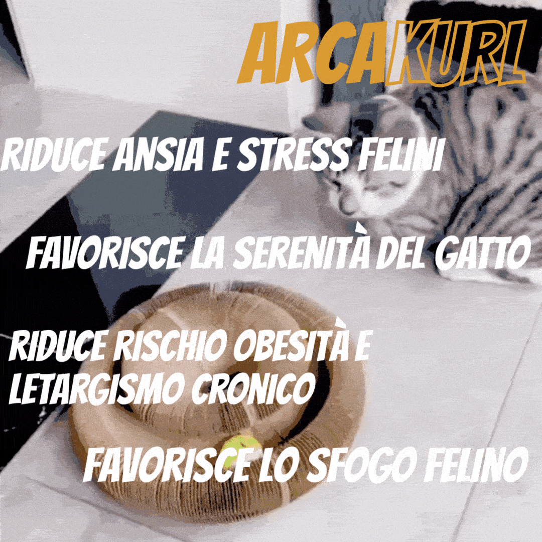 ARCAKURL -  Cattura, Graffia, Conquista... MEOW
