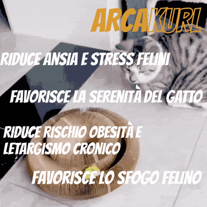 ARCAKURL -  Cattura, Graffia, Conquista... MEOW