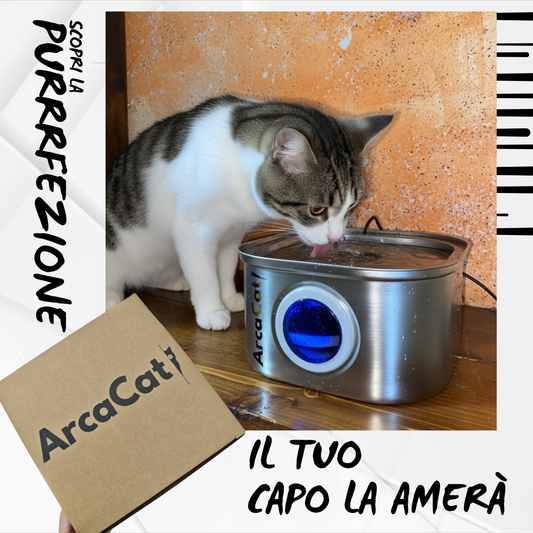 ARCACAT - Fonte di Benessere Per Il Tuo Gatto