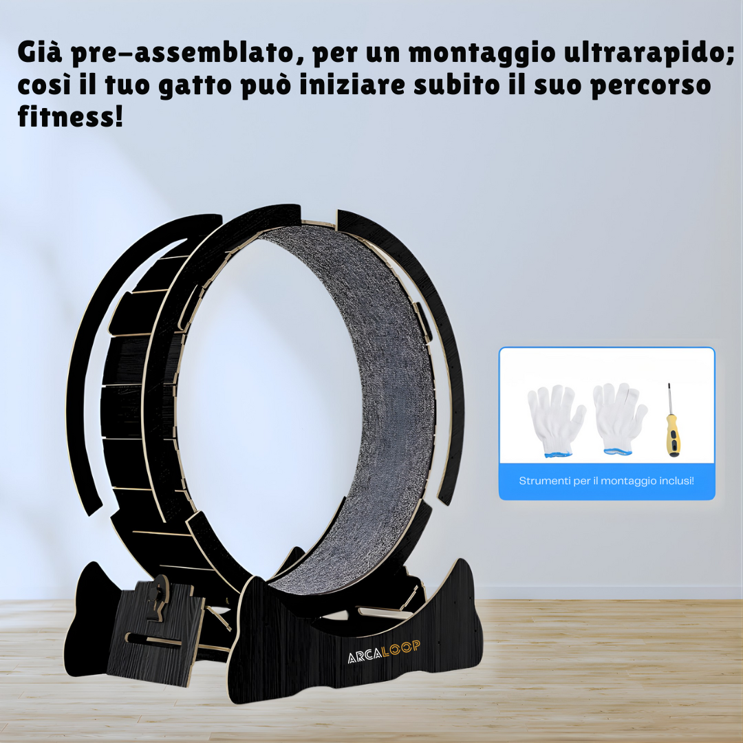 ArcaLoop - La Ruota della Felicità