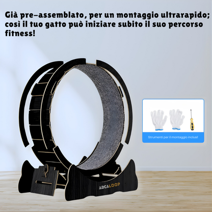 ArcaLoop - La Ruota della Felicità