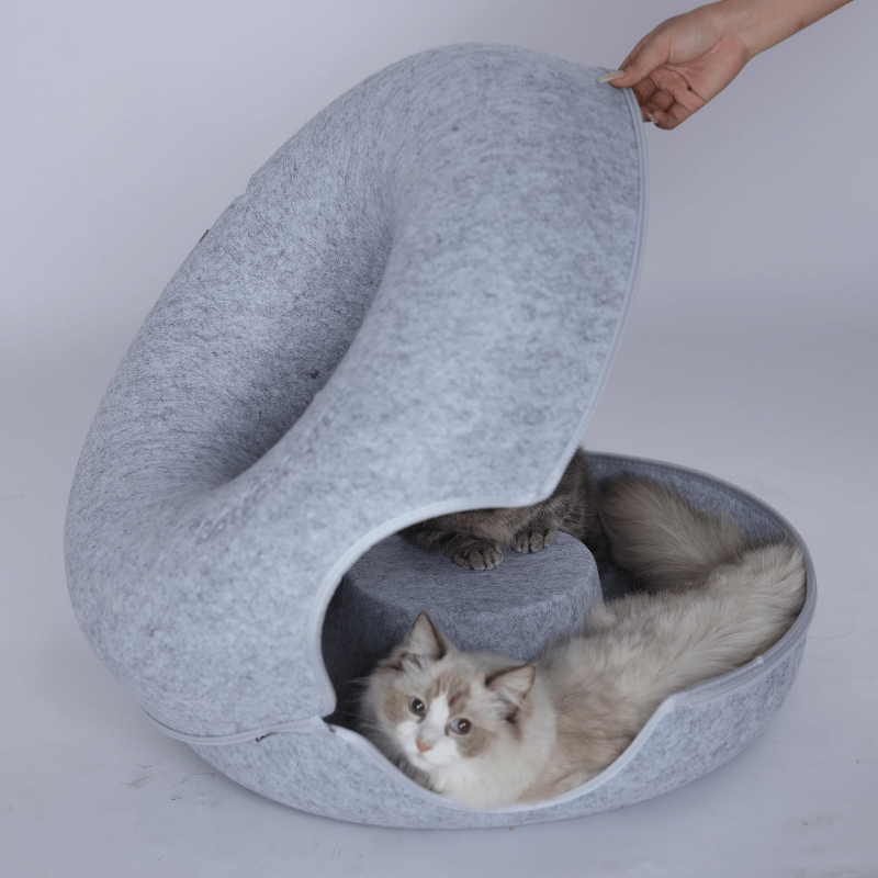 ArcaRing - Il nido preferito del tuo felino