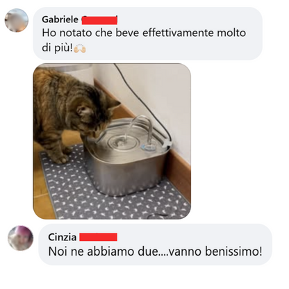 ARCACAT - Fonte di Benessere Per Il Tuo Gatto