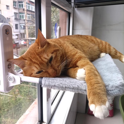 Amaca ArcaCat – Il rifugio panoramico del tuo gatto