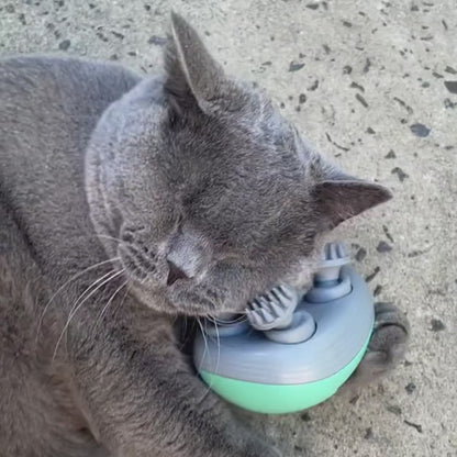 Massaggiatore Felino ArcaCat - Il Relax A Misura Di Gatto