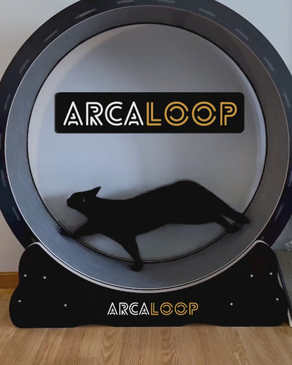 ArcaLoop - La Ruota della Felicità